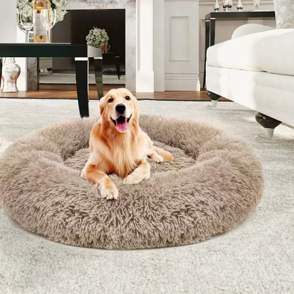 Dog bed monochromatic