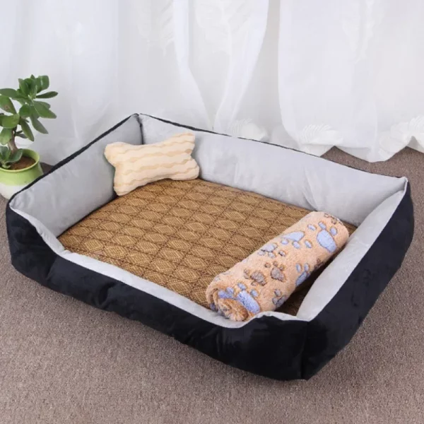 Dog bed internet famous