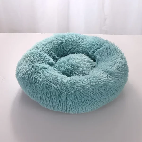 Dog bed labrador