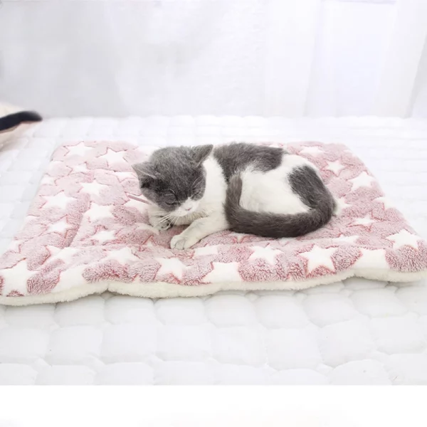 Dog bed blanket