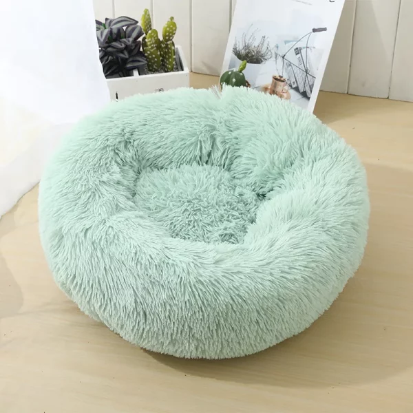 Dog bed best products