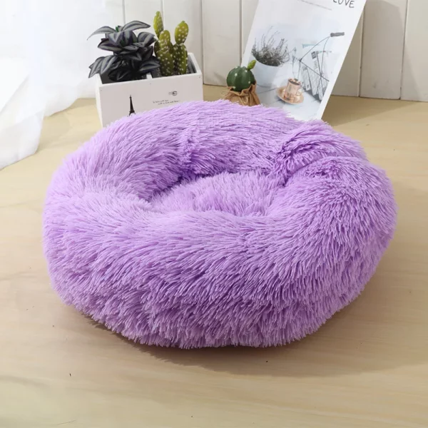 Dog bed animals