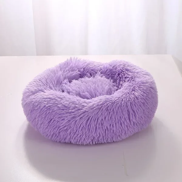 Dog bed labrador