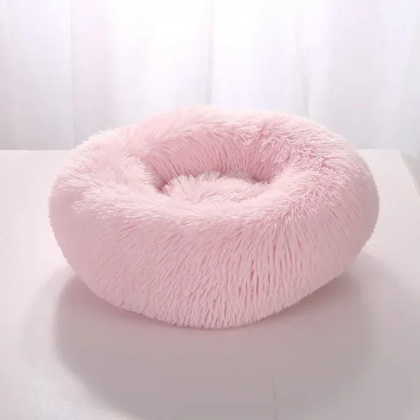 Dog bed labrador