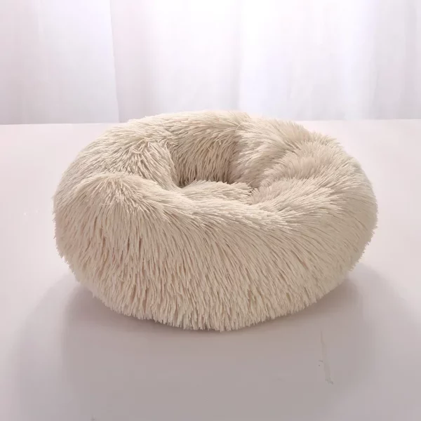 Dog bed labrador