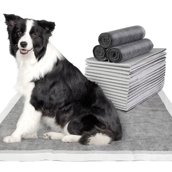 Dog bed diapers