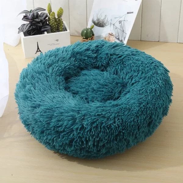 Dog bed best products