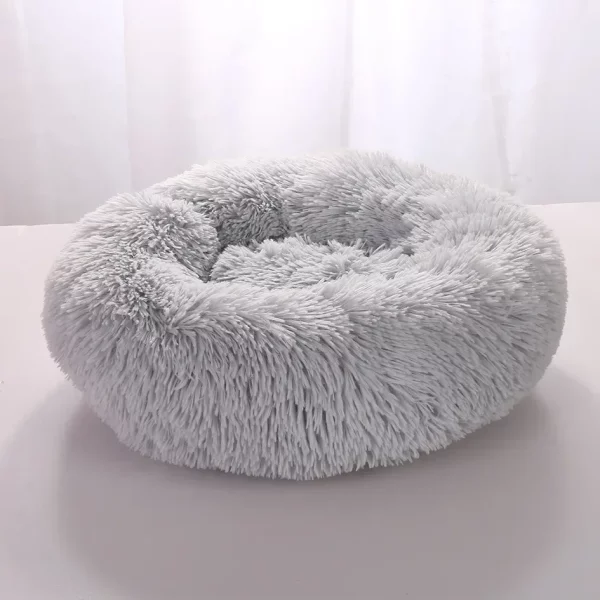 Dog bed labrador