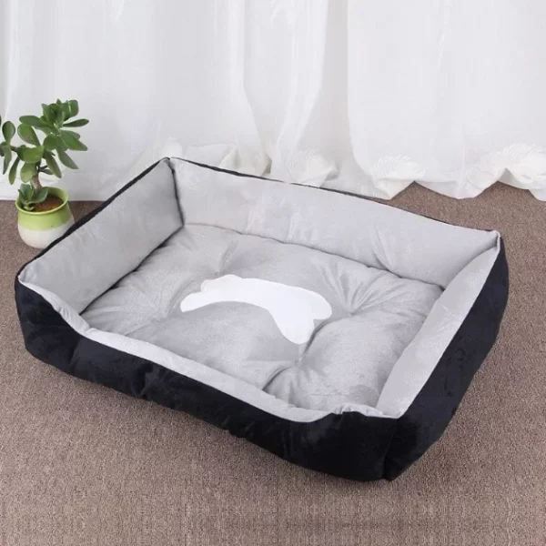 Dog bed internet famous