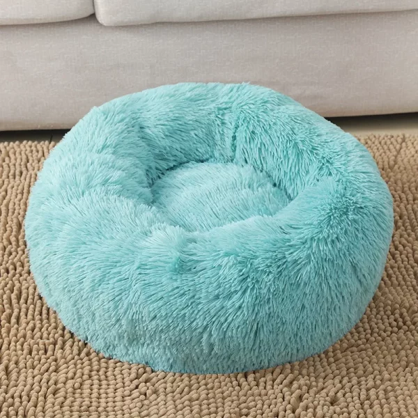 Dog bed best products