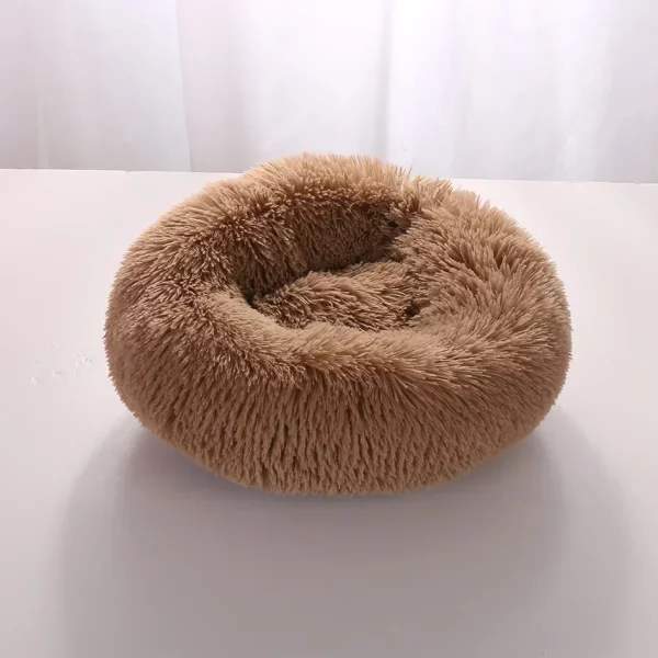 Dog bed labrador