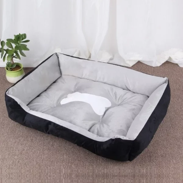 Dog bed famous