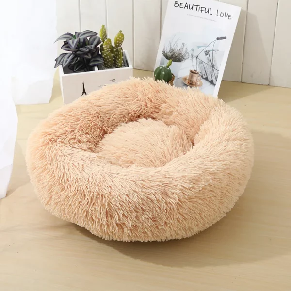 Dog bed animals