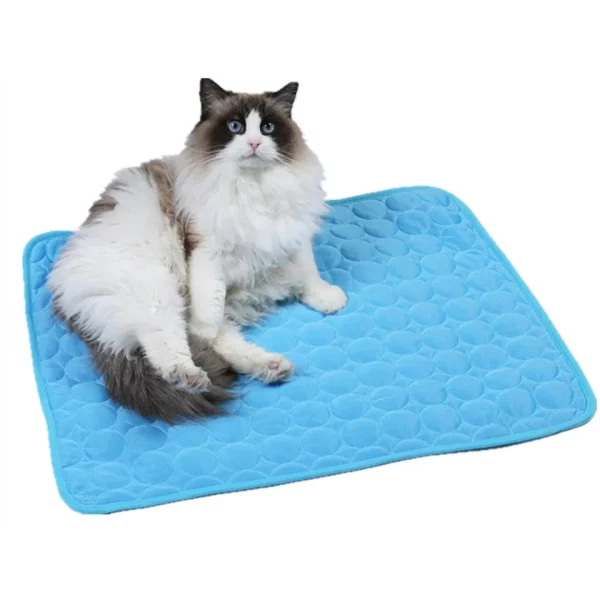 Dog bed gel