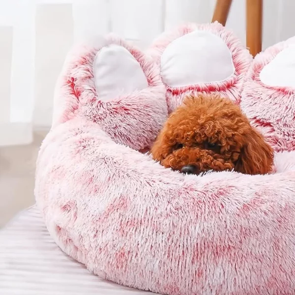 Dog bed bear paw