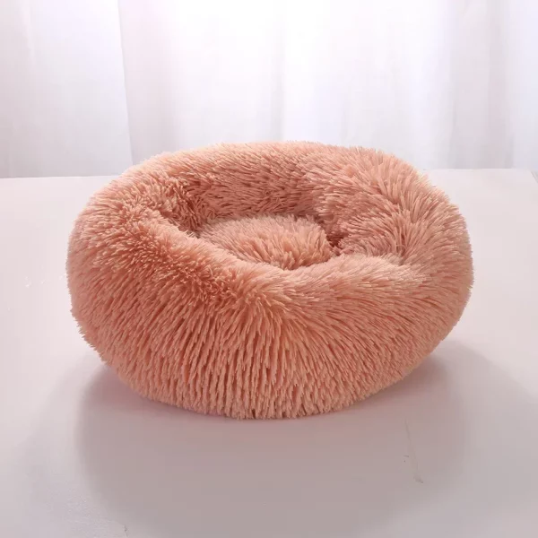 Dog bed labrador