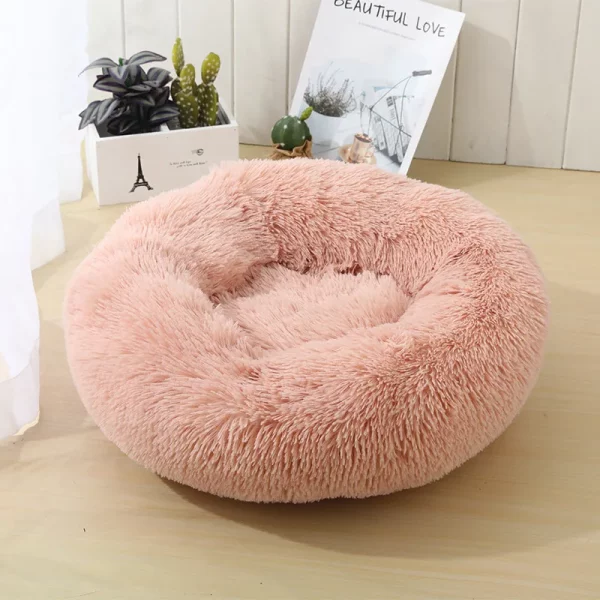 Dog bed best products