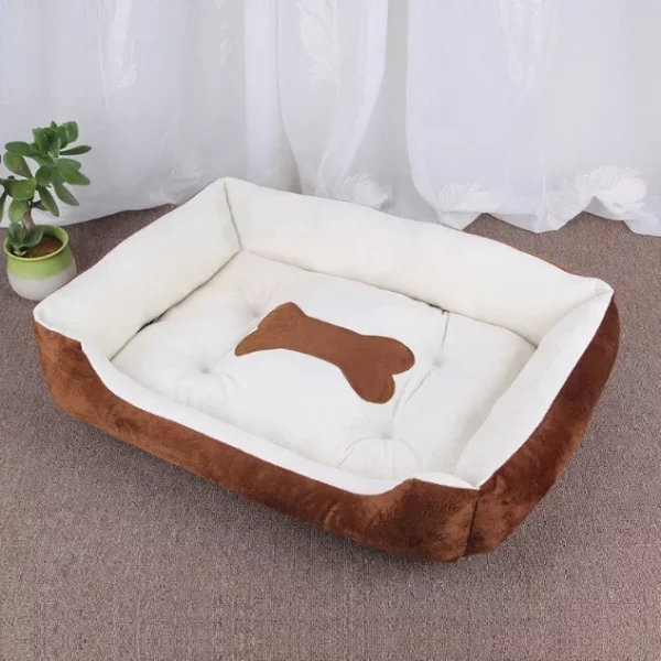 Dog bed internet famous