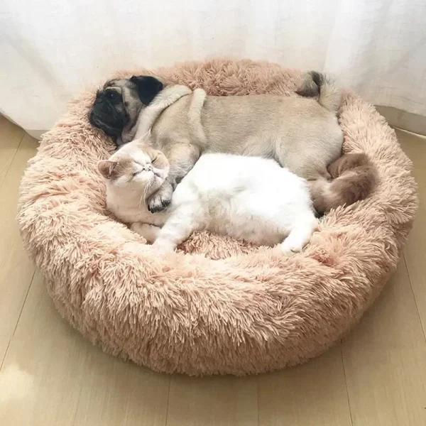 Dog bed full size