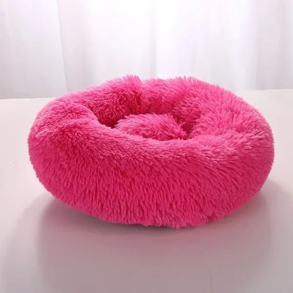 Dog bed labrador