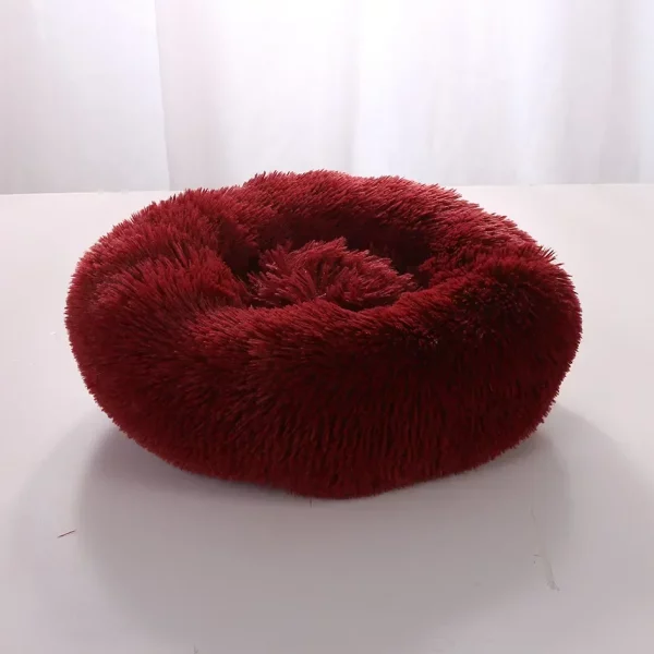 Dog bed labrador