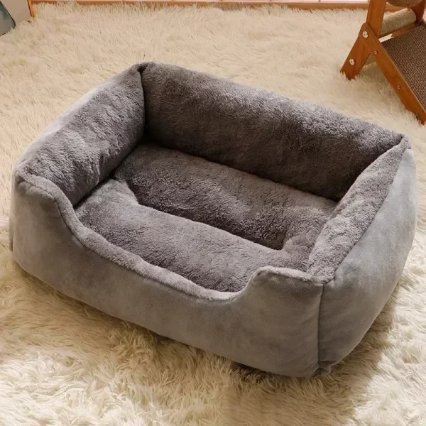 Dog bed cartoon