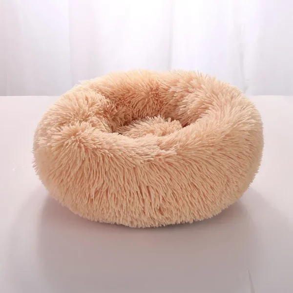 Dog bed labrador