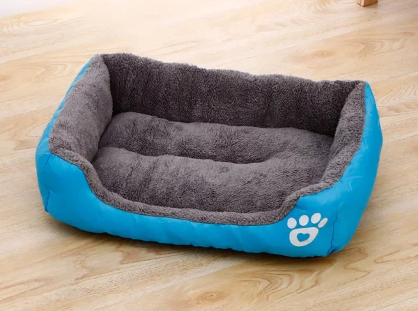 Dog bed sweet colored